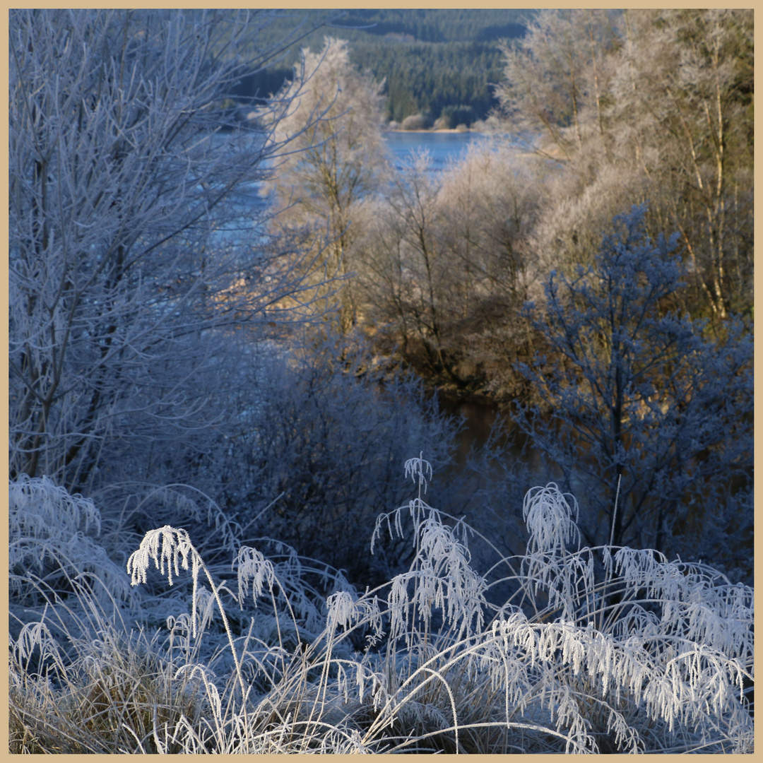 Lakeside at Kielder in winter