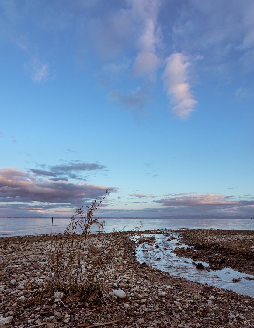 Lakeside Clouds