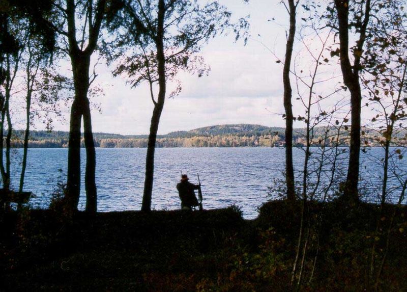 Lakeside duckhunter