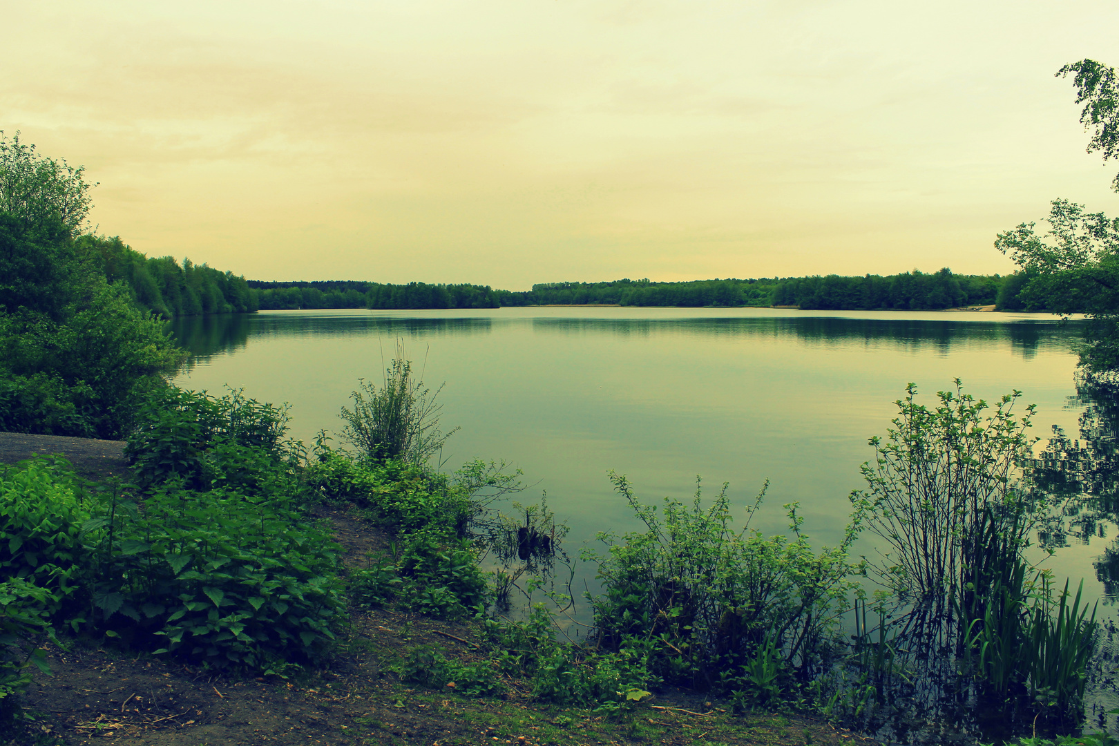 lakeside light