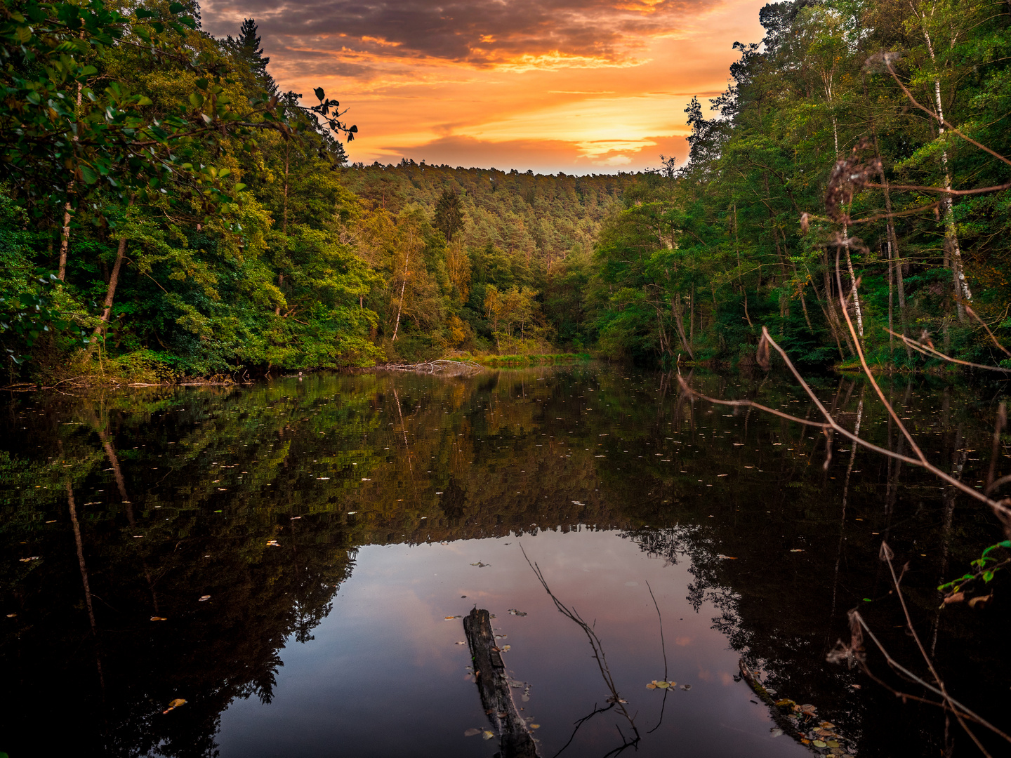 Lakeside Sunset