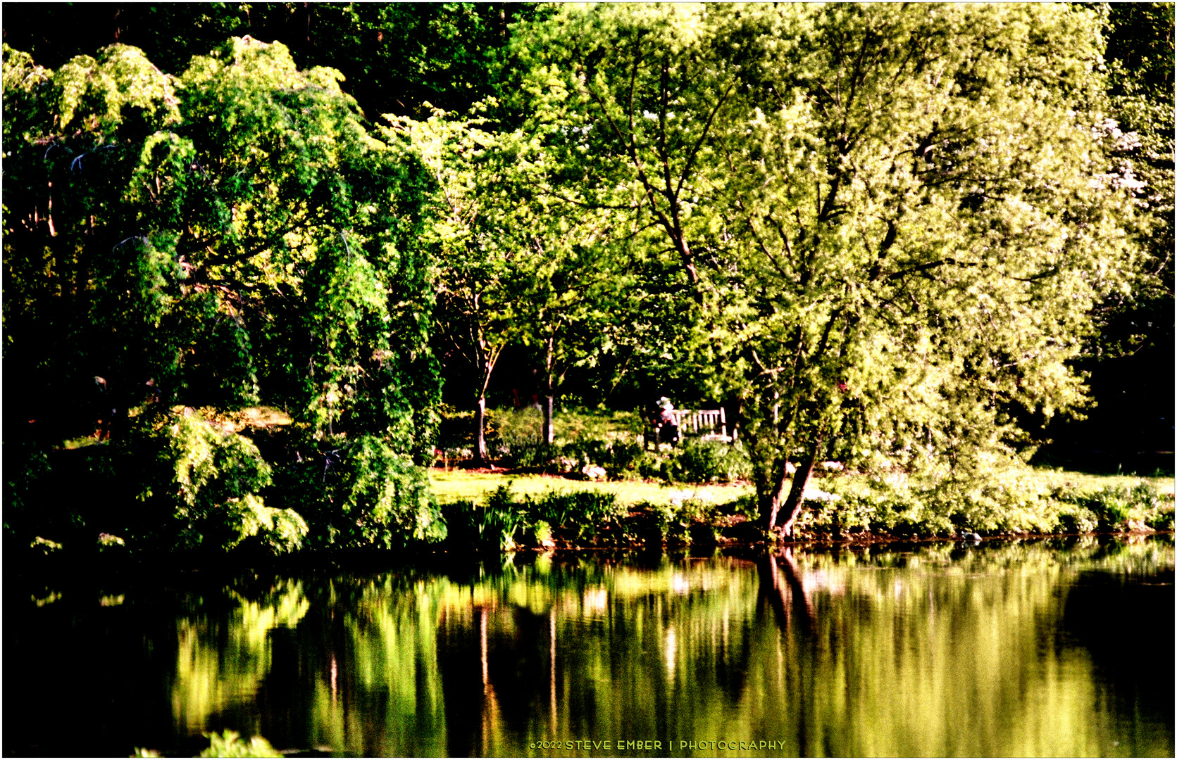 Lakeside Tranquility in the Golden Hour of a Spring Afternoon