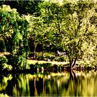 Lakeside Tranquility in the Golden Hour of a Spring Afternoon