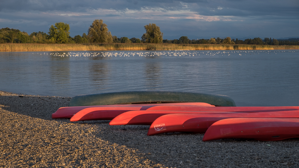 lakeside_evening