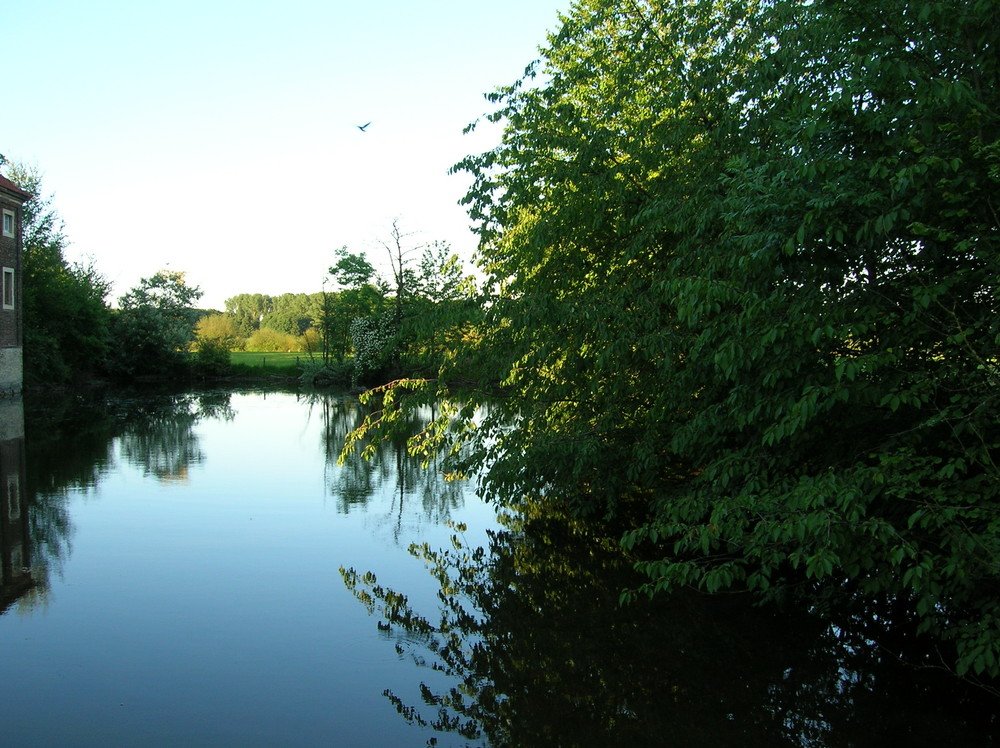 laketree