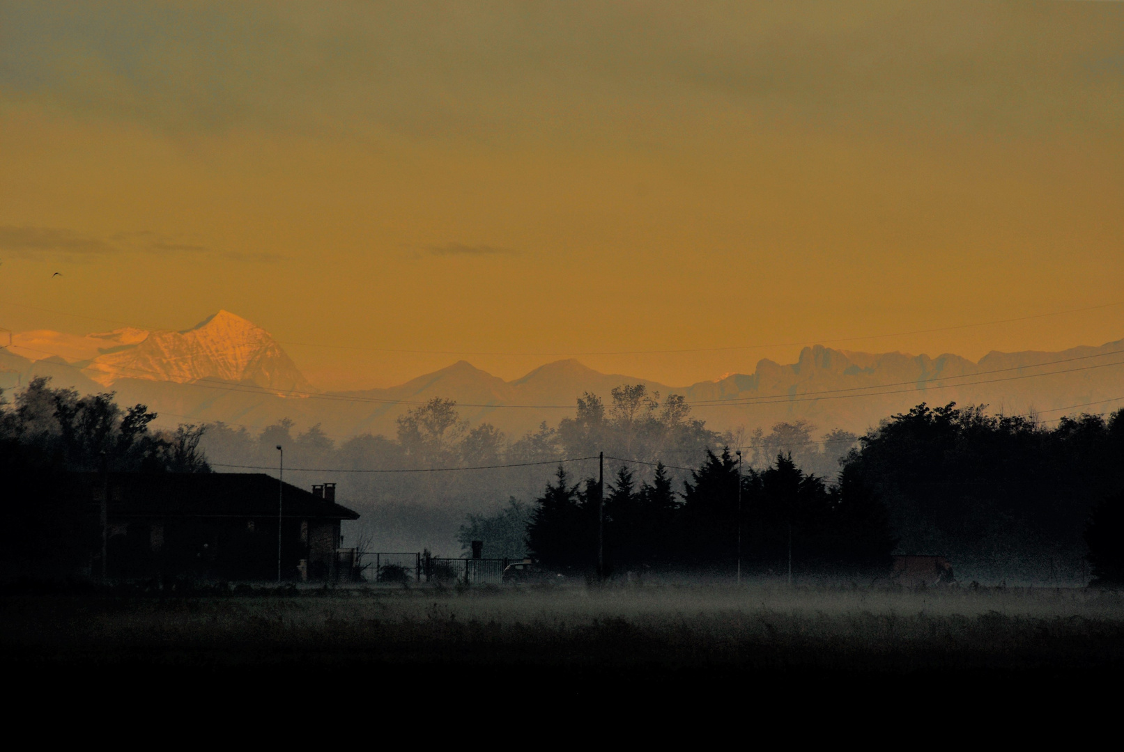 L'ALBA