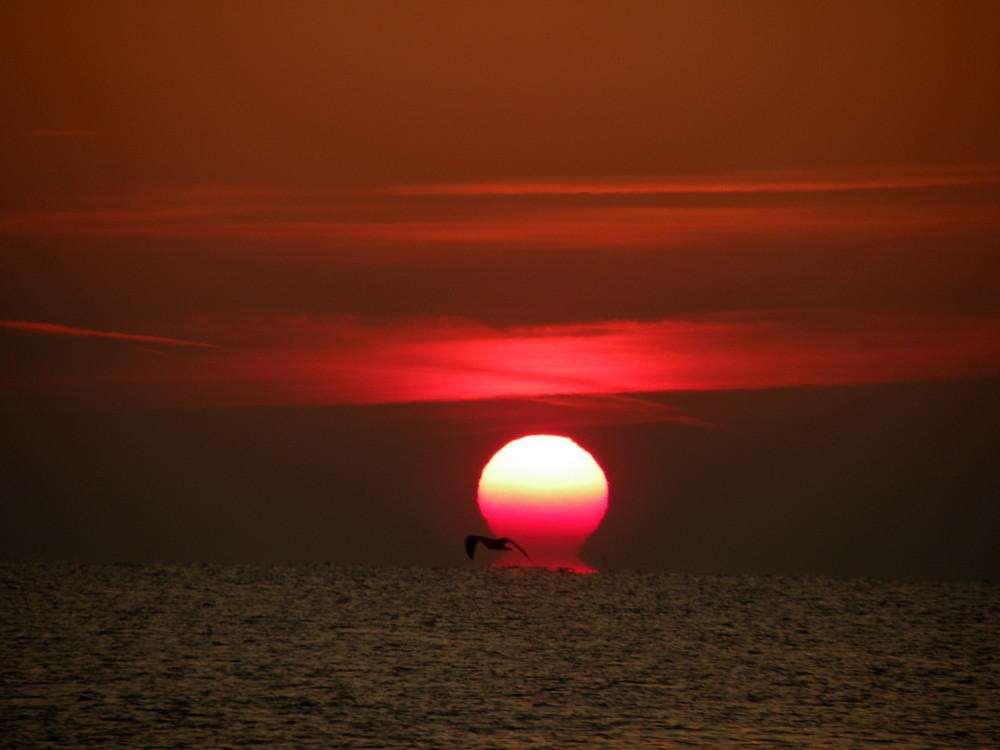 L'alba ad Alba Adriatica