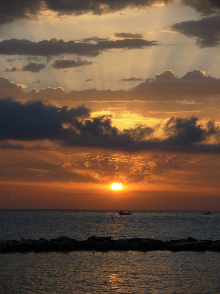 l'alba che riporta i colori