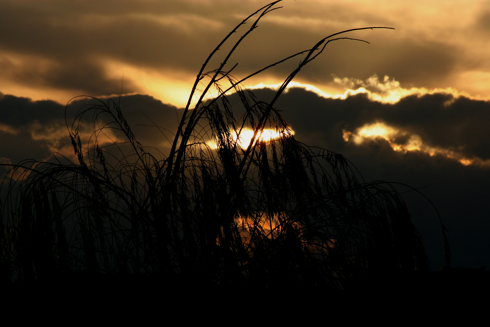 L'ALBA DEL GIORNO DOPO