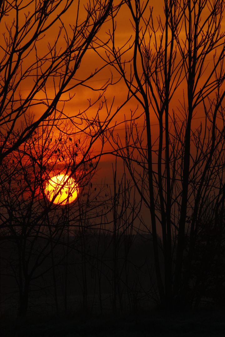 l'ALBA DEL NUOVO ANNO