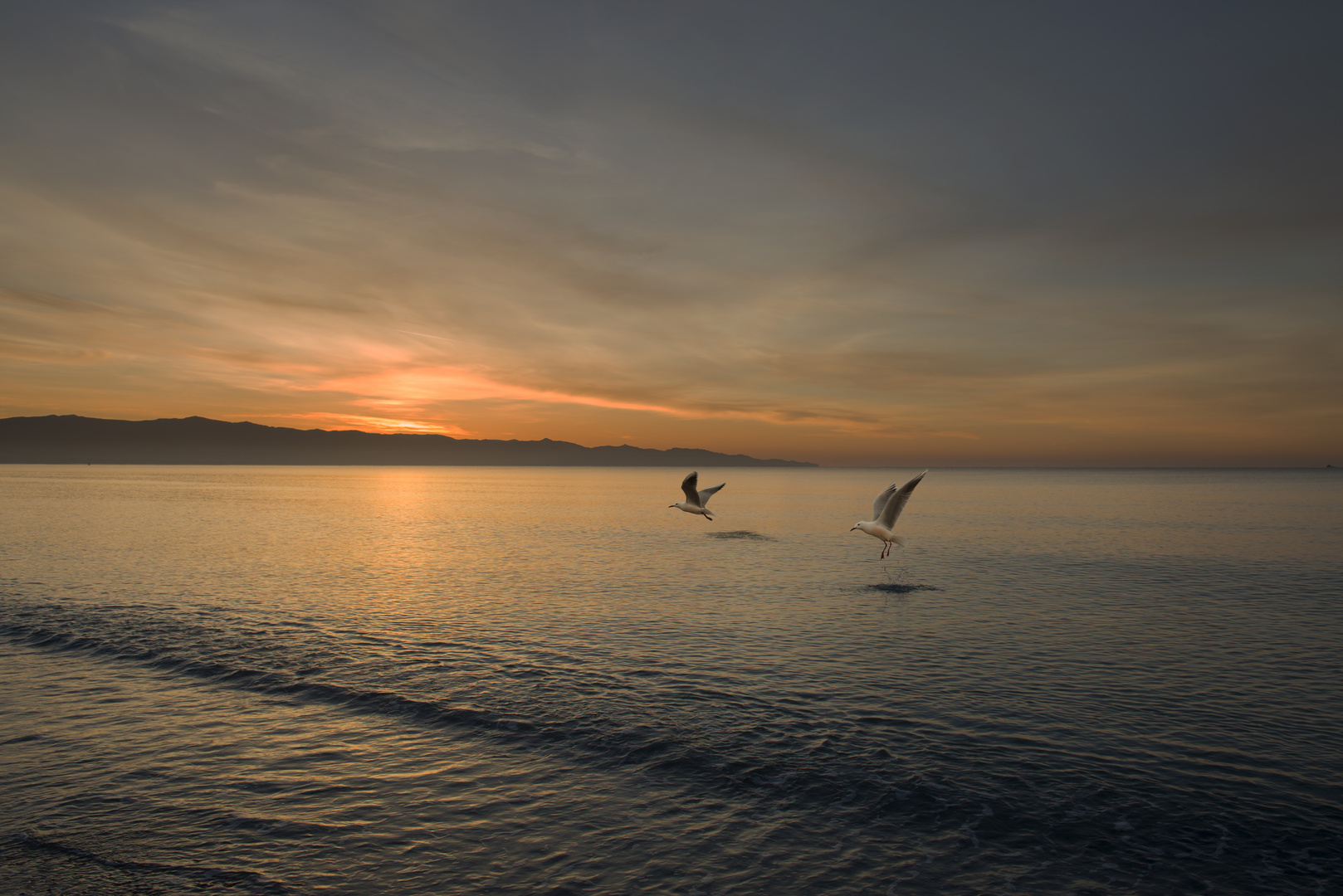 l'alba di casa mia...