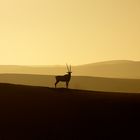 L'Alba di un nuovo giorno.