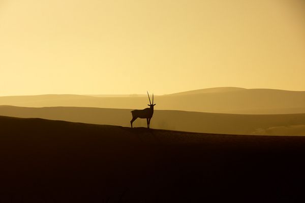 L'Alba di un nuovo giorno.