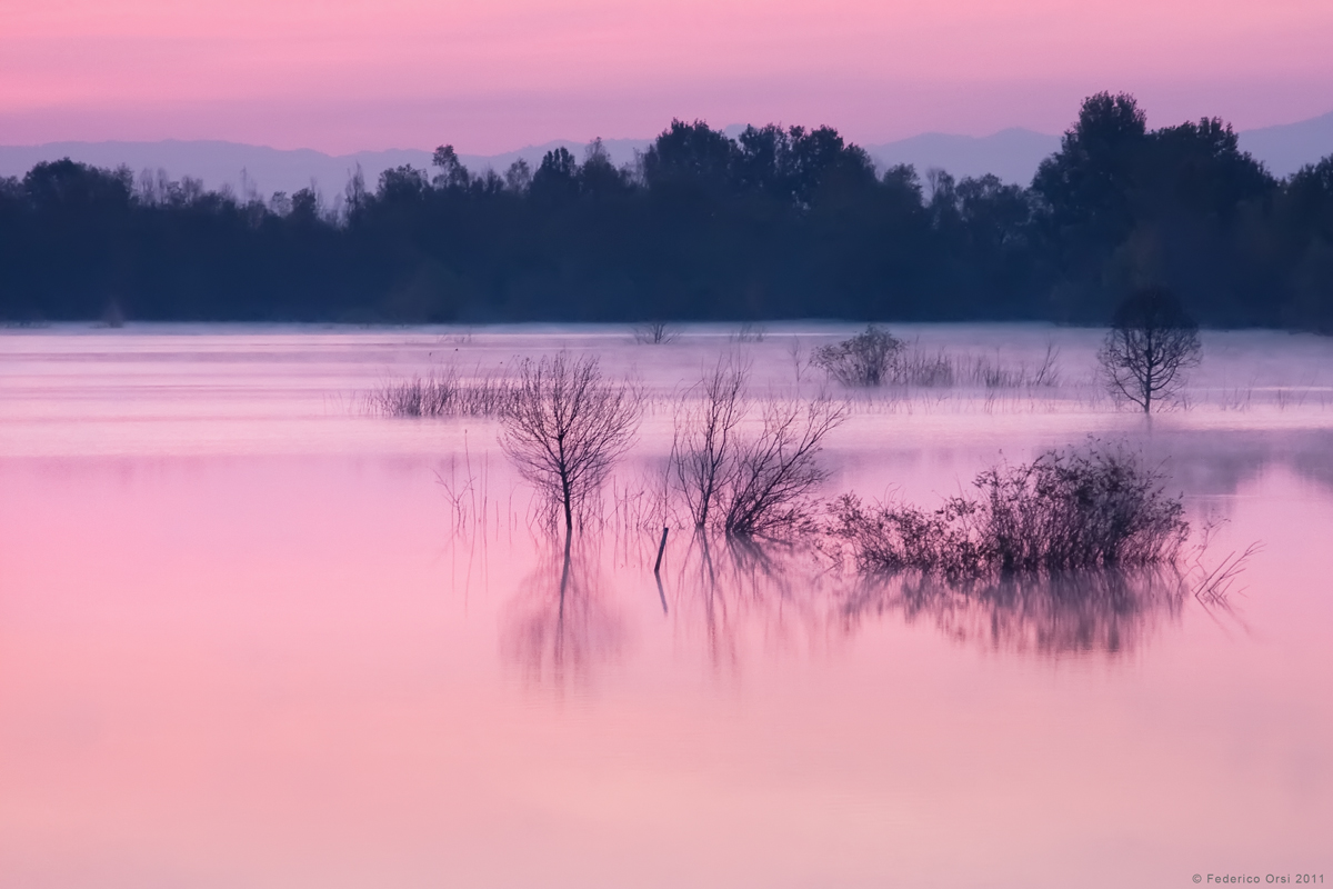 l'alba si veste di rosa