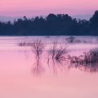 l'alba si veste di rosa