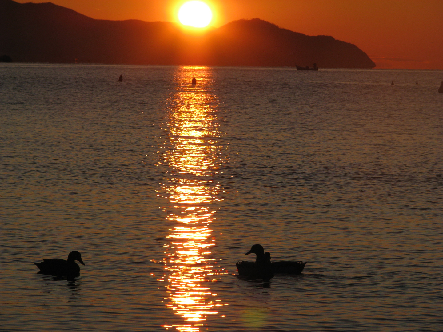 l'Alba...........(Rapallo GE - golfo del tigullio)