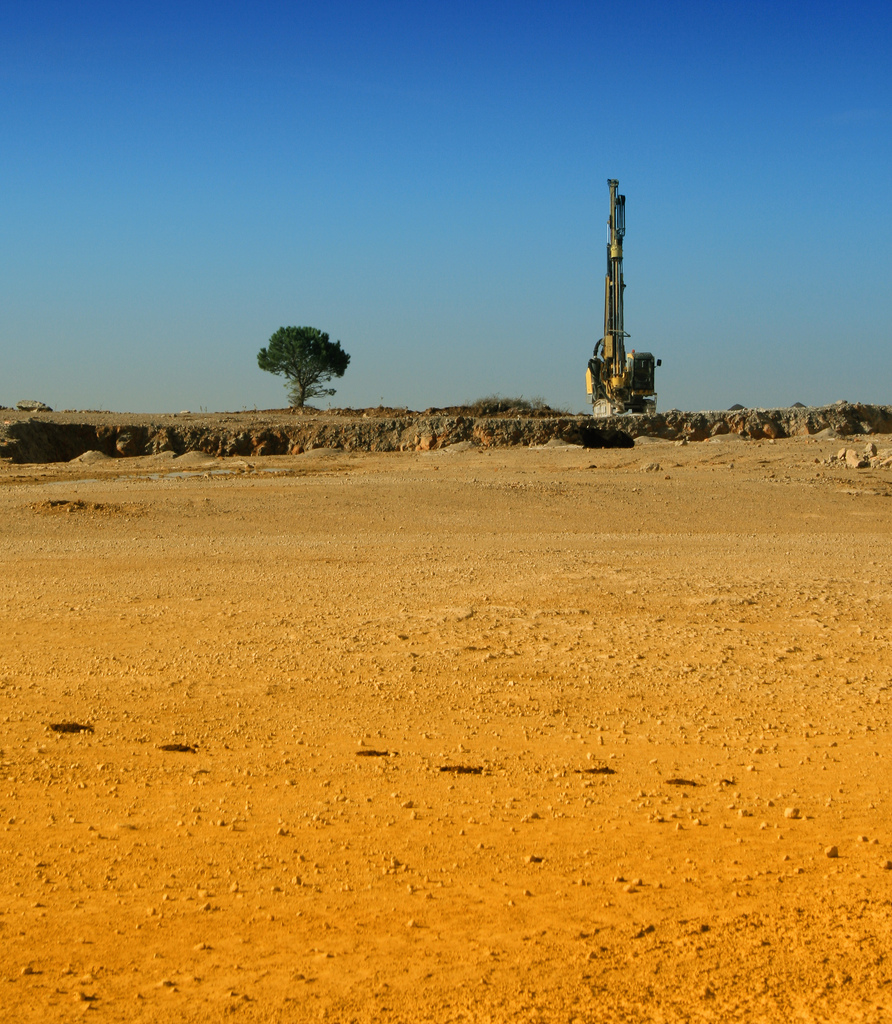 L'albero Bionico