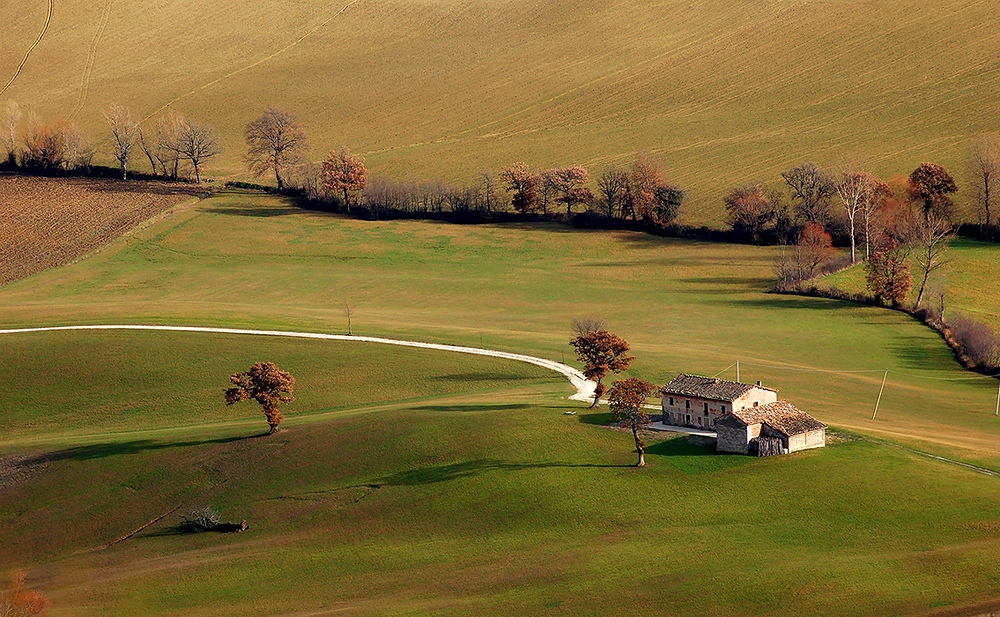 L'ALBERO CADUTO