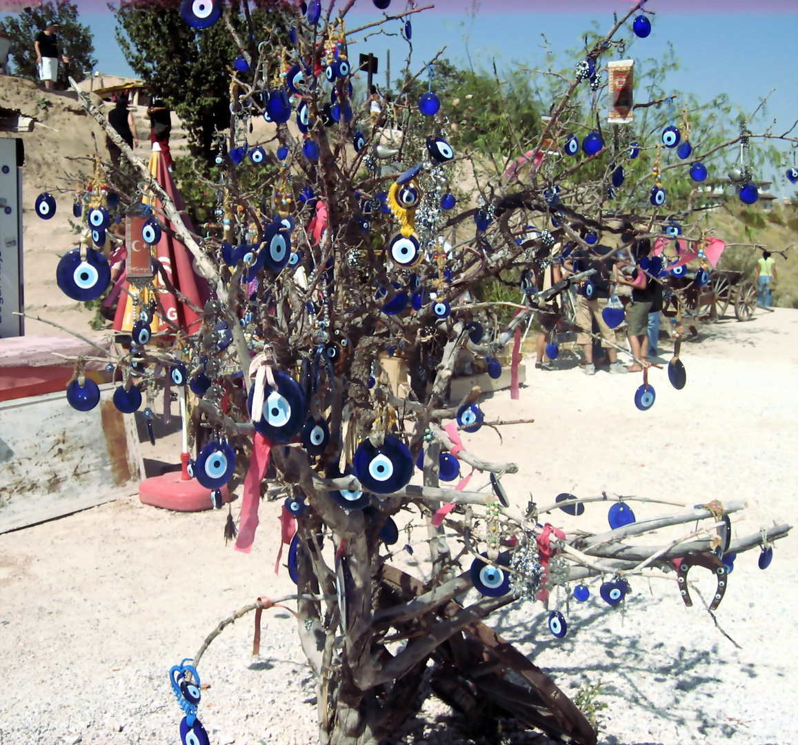 L'ALBERO ... CONTRO IL MALOCCHIO