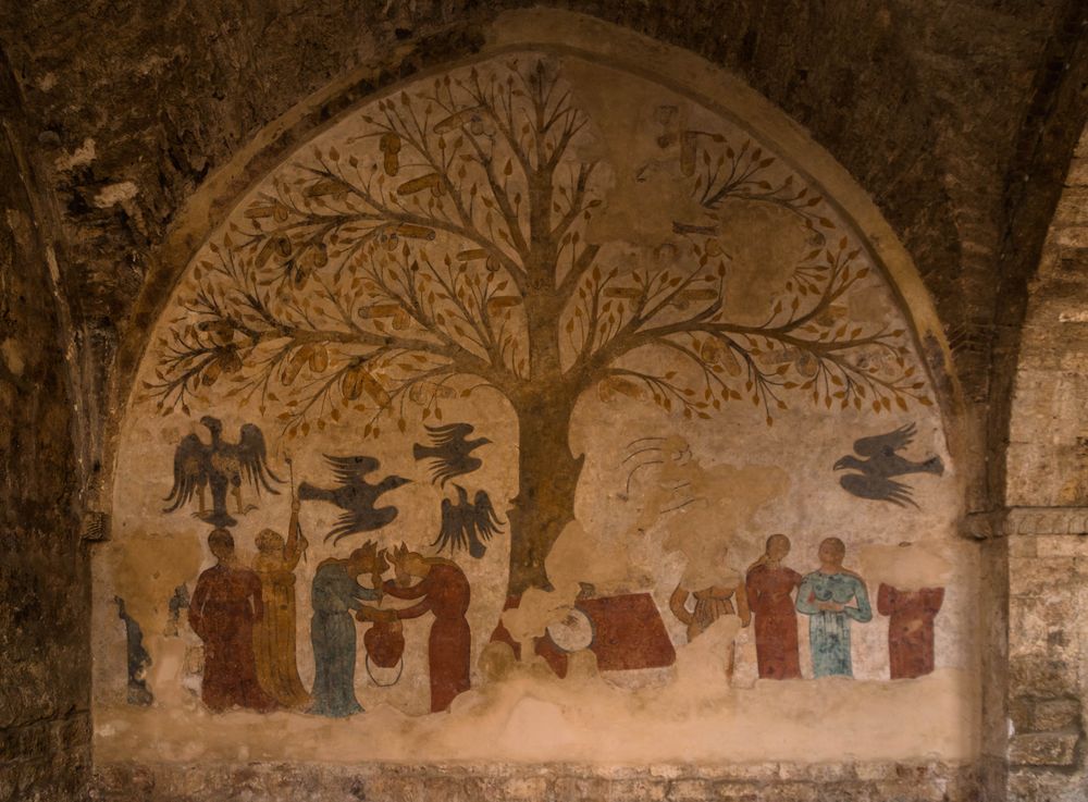 "l'albero della fecondità" in massa marittima