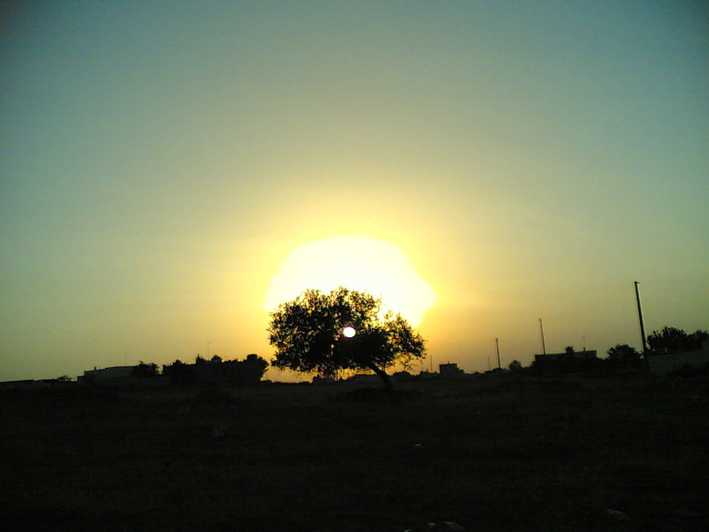 L'albero della vita