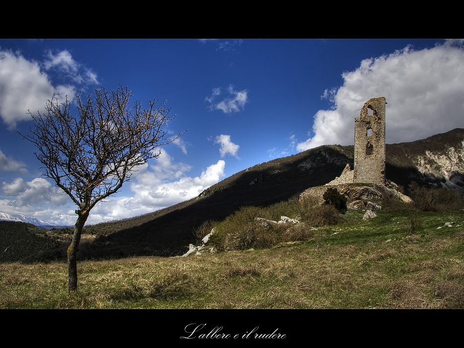 L'albero e il rudere