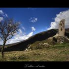 L'albero e il rudere