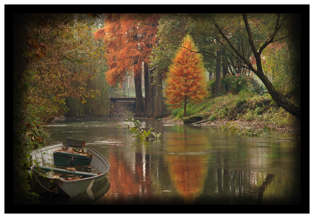 L'albero e la barca