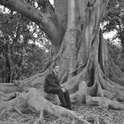 l'albero e l'uomo