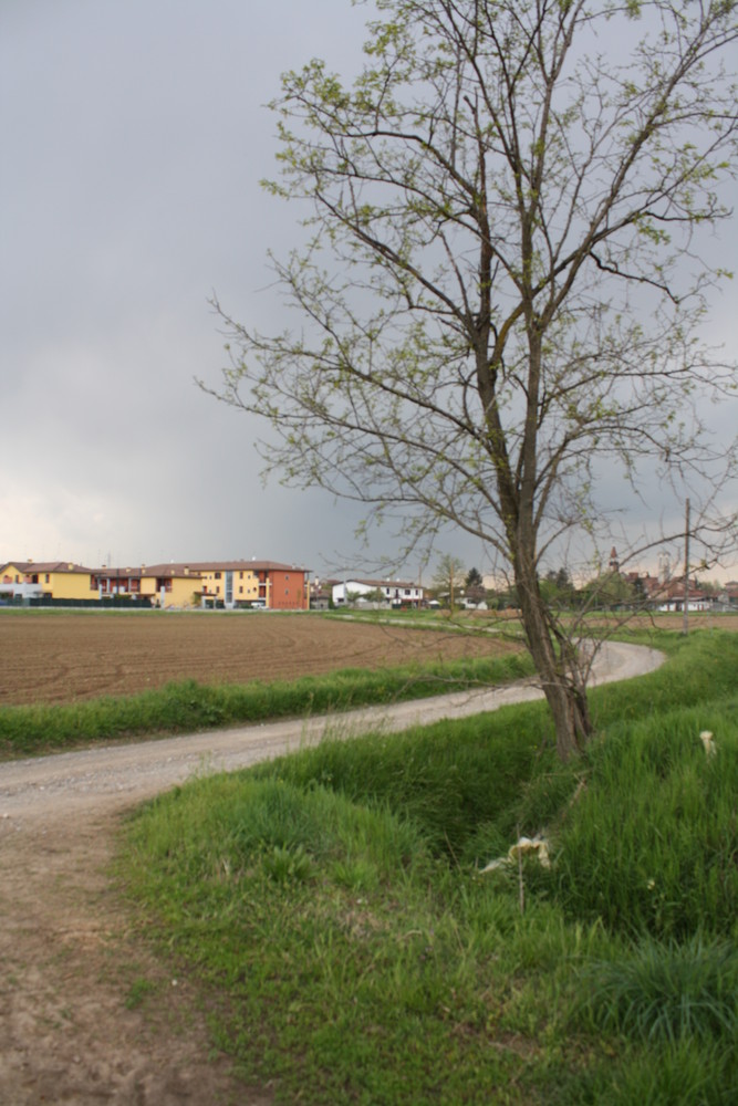 L'Albero Vicino Casa