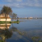 L'Albufera 1