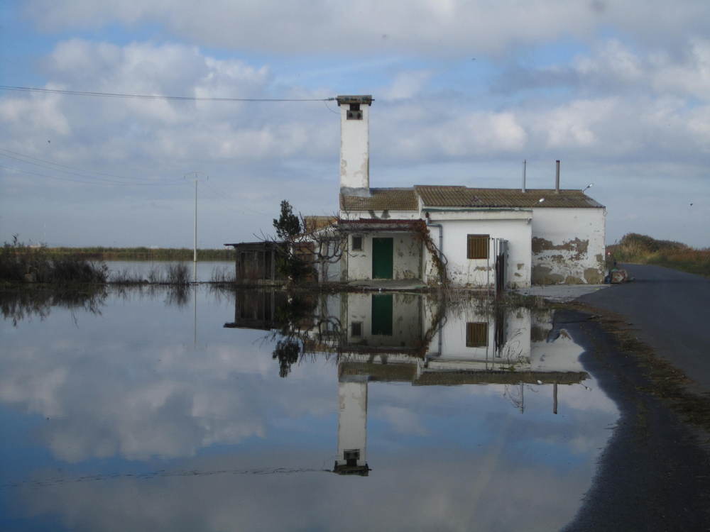 L'albufera 4