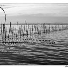 L'Albufera