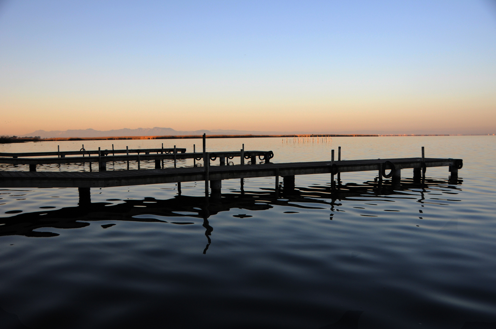 l'albufera