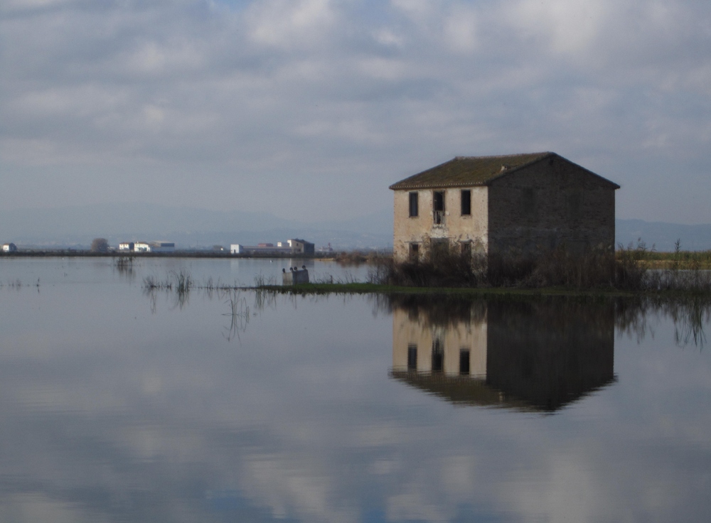 L'Albufera 5