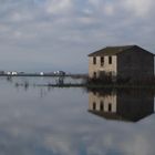 L'Albufera 5