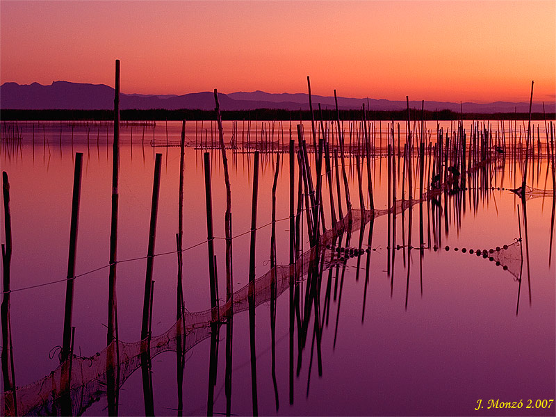 L'Albufera