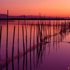 L'Albufera