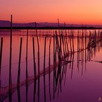 L'Albufera