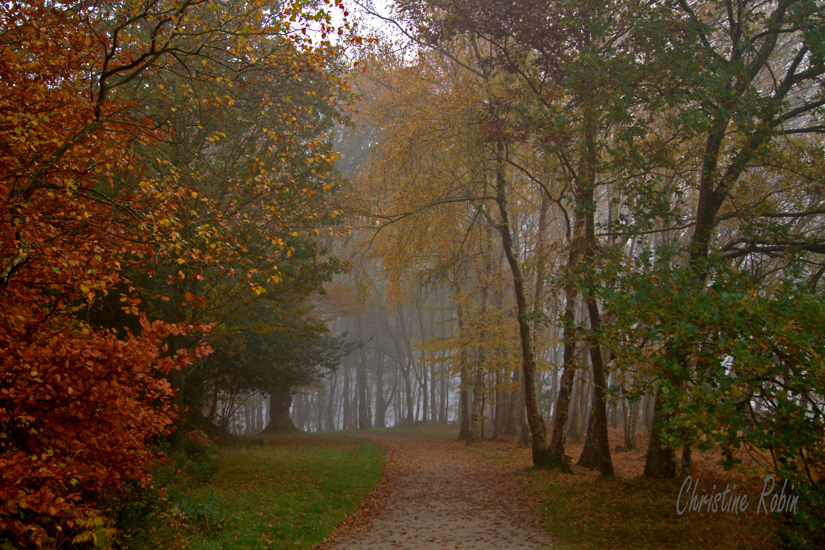 l'allée