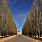 l'allée de la reine