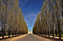 l'allée de la reine