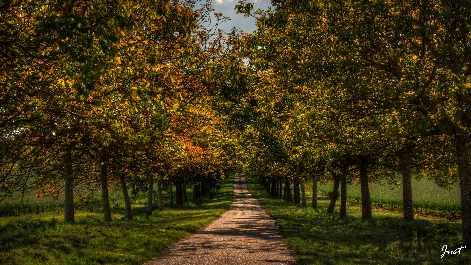 L'allée des noyers...