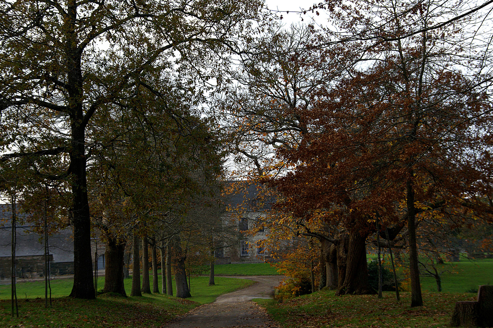 L'allée des vieux châtaigniers