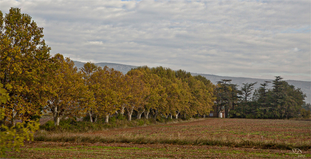 L'allée en automne