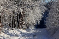 " L'allée enneigée "