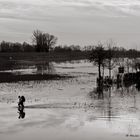 L'alluvione dimenticata