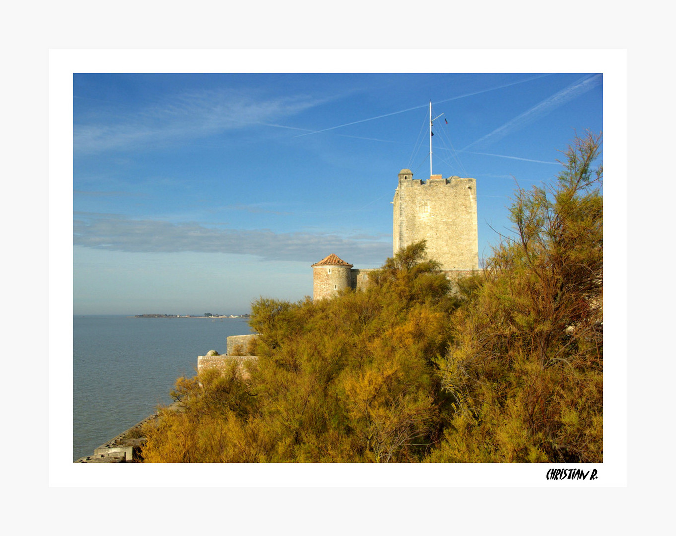 L'aloi du plus fort...