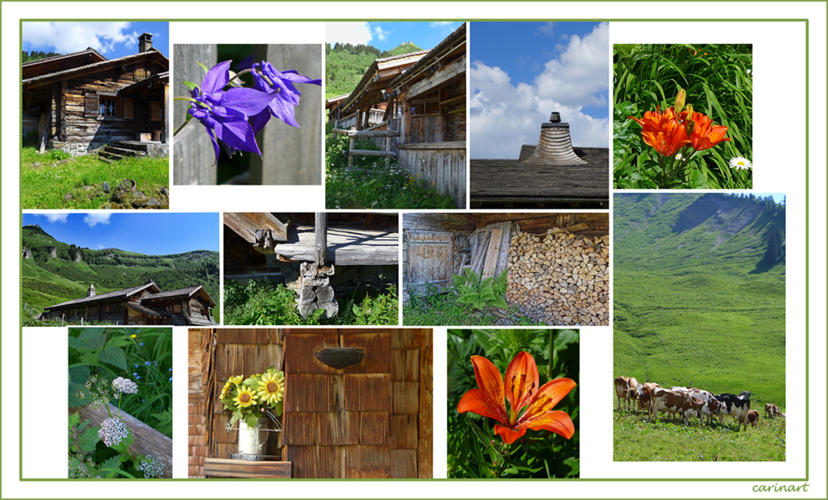 À l'alpage  /  Auf der Alm