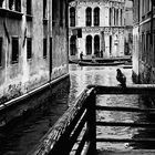 L'altra Venezia: punti di vista